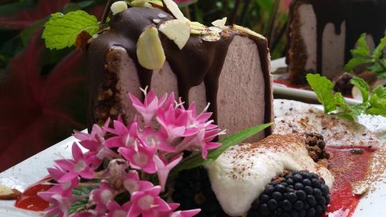 Dragonfruit_Strawberry_Cheesecake_2