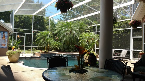 IMG_20160724_133702752