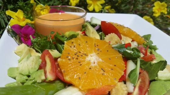Rainbow Salad with Creamy Dreamy Orange Dressing