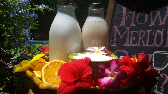 Almond &amp; Coconut Milk [Raw]