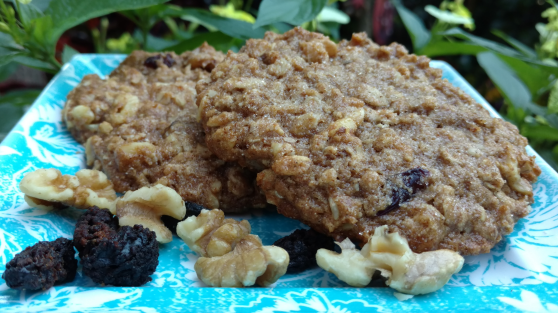 Cranberry, Raisin, Oatmeal, Walnut Cookies