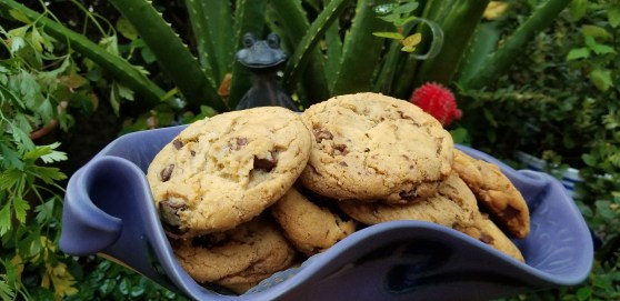 8E550F57-BA6E-491B-A6AE-0AD0062456C2